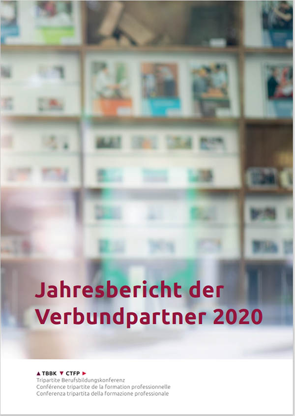 Jahresbericht der Verbundpartner 2020